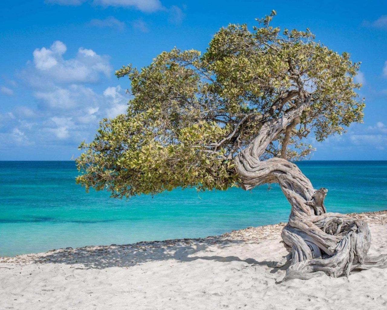 Bluegreen Vacations La Cabana Resort, An Ascend Collection Παλμ Μπιτς Εξωτερικό φωτογραφία